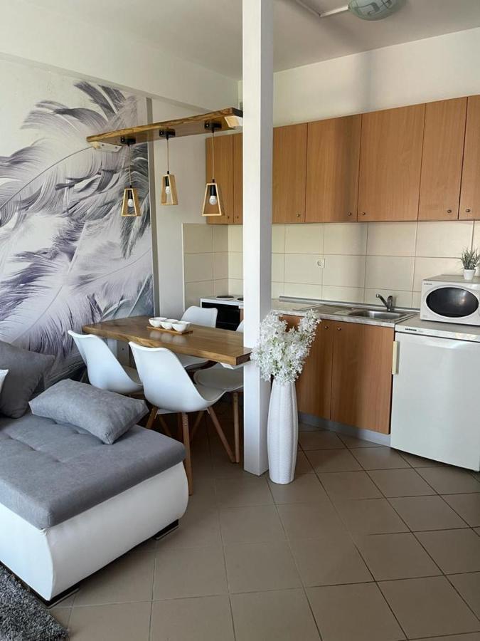 Apartman Lukic Banja Koviljača Buitenkant foto
