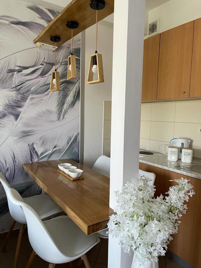 Apartman Lukic Banja Koviljača Buitenkant foto