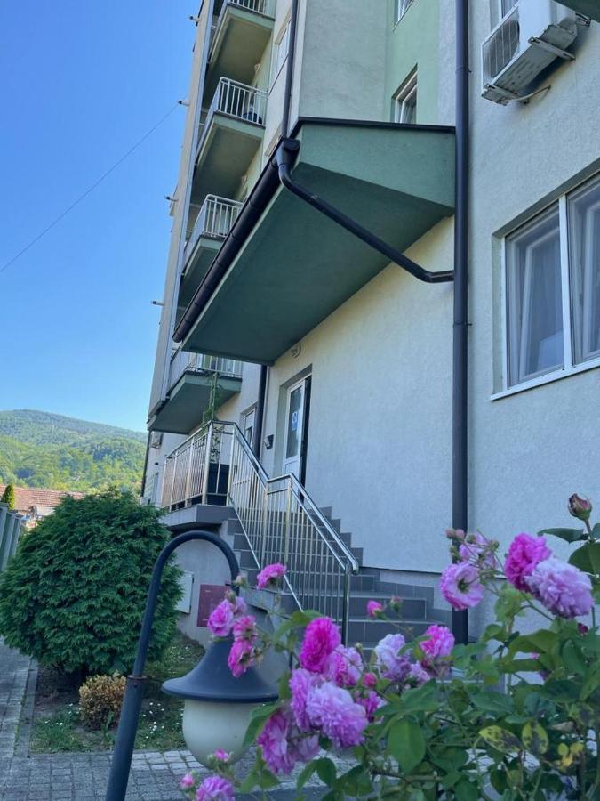 Apartman Lukic Banja Koviljača Buitenkant foto