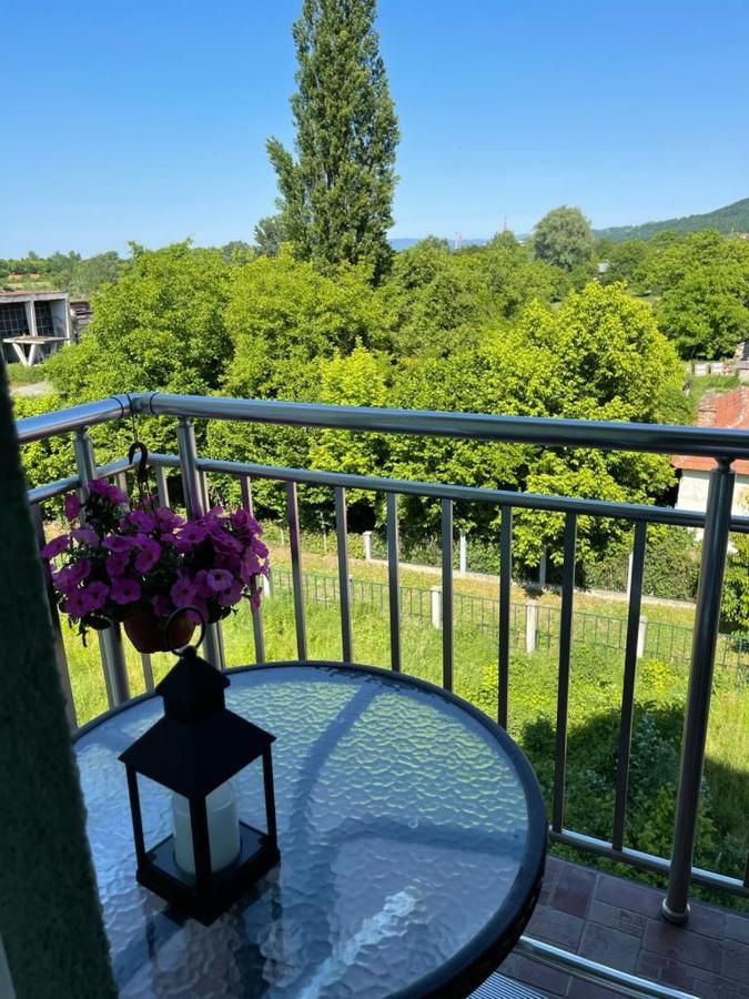 Apartman Lukic Banja Koviljača Buitenkant foto